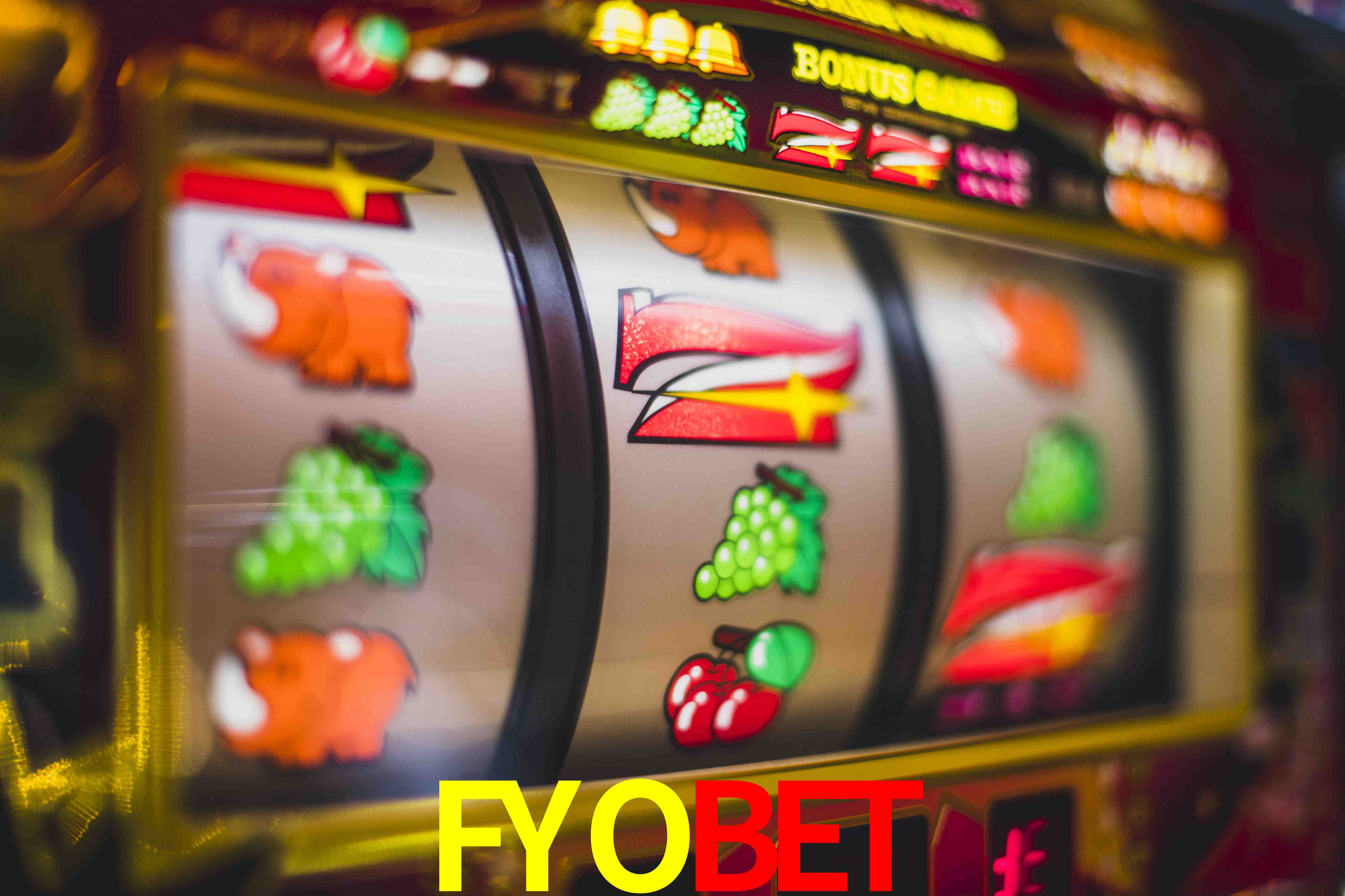 Experiência VIP FYOBET